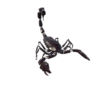 black sand scorpion